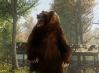 Disney World stenges midlertidig på grunn av bjørneinnbrudd