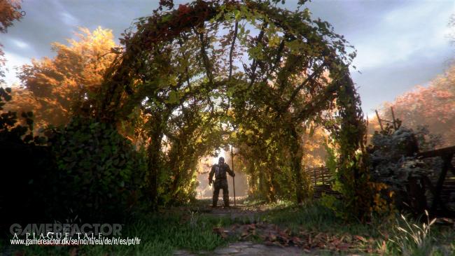 A Plague Tale: Innocence