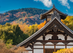 Liket av en savnet amerikansk universitetsstudent er funnet i Kyoto