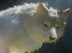 Beast of Reincarnation
