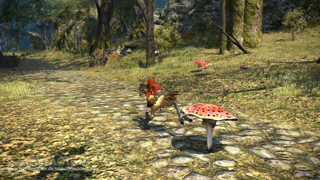 Final Fantasy XIV: A Realm Reborn