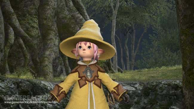 Final Fantasy XIV: A Realm Reborn