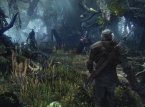 Nye bilder fra Witcher 3: Wild Hunt