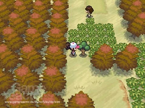 Pokémon Black/White 2