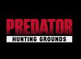 PlayStation lager Predator-spill
