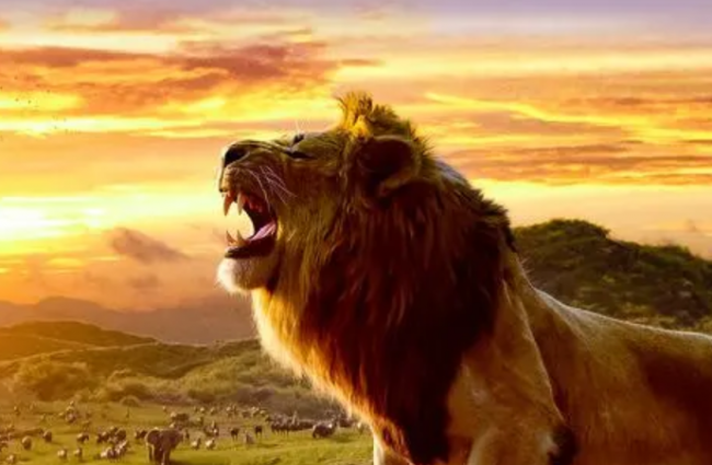 Disney vurderer å lage The Lion King-univers