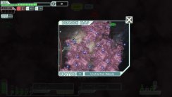 Related Image