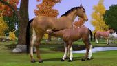 The Sims 3: Pets - Gamescom Trailer